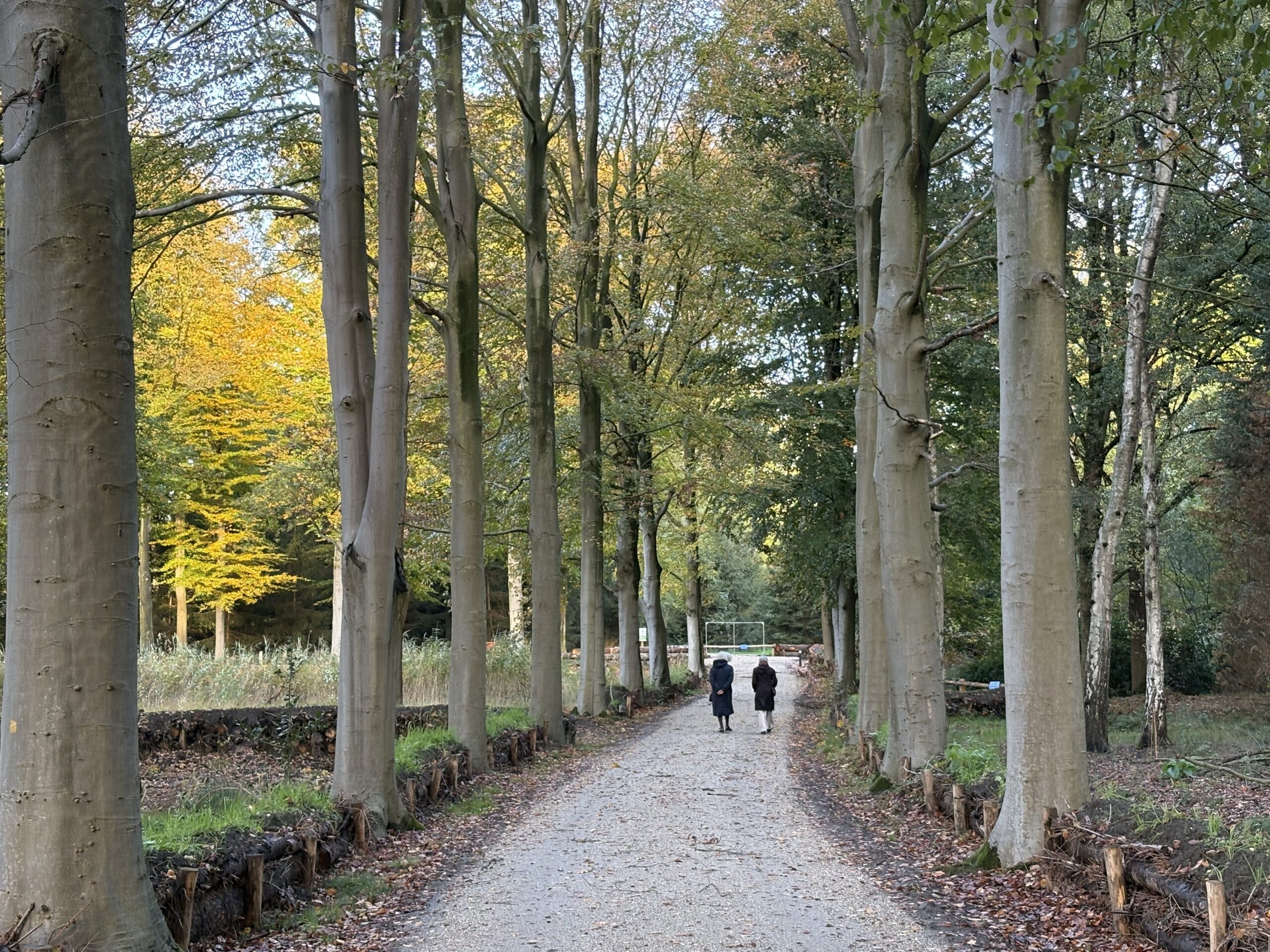 Paden landgoed de Wielewaal aangelegd met Aquado
