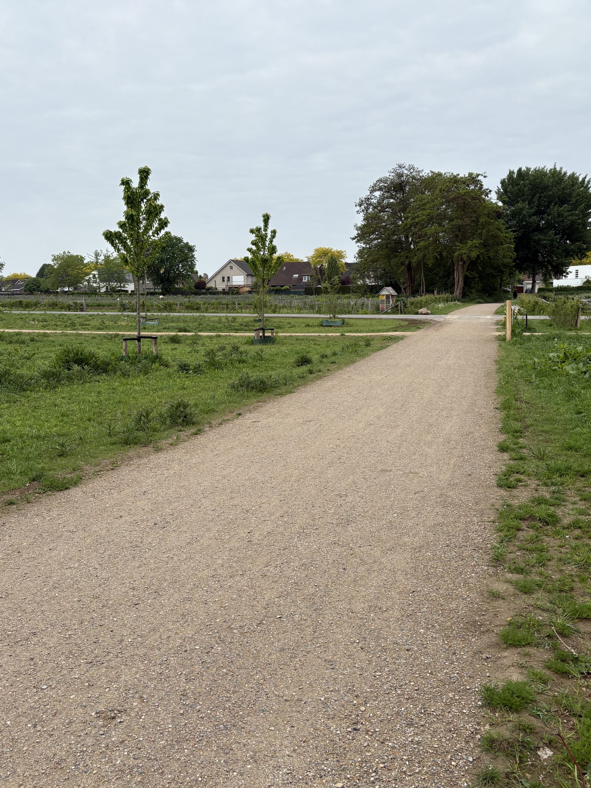 Aquado Mineral General + QG Flachkorn – Sittart-Geleen – Kurvers – project Harteveldt11