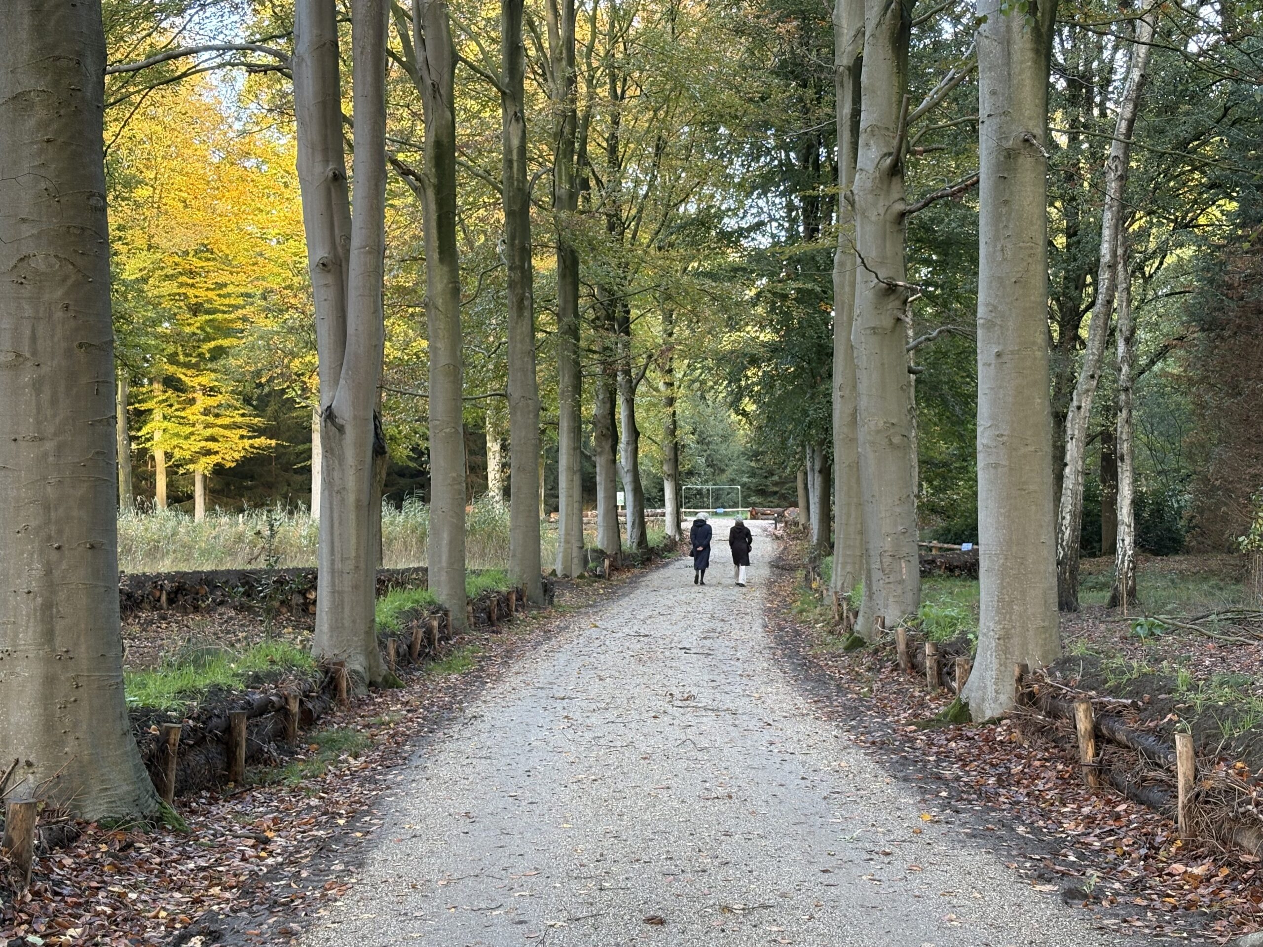 Landgoed de Wielewaal