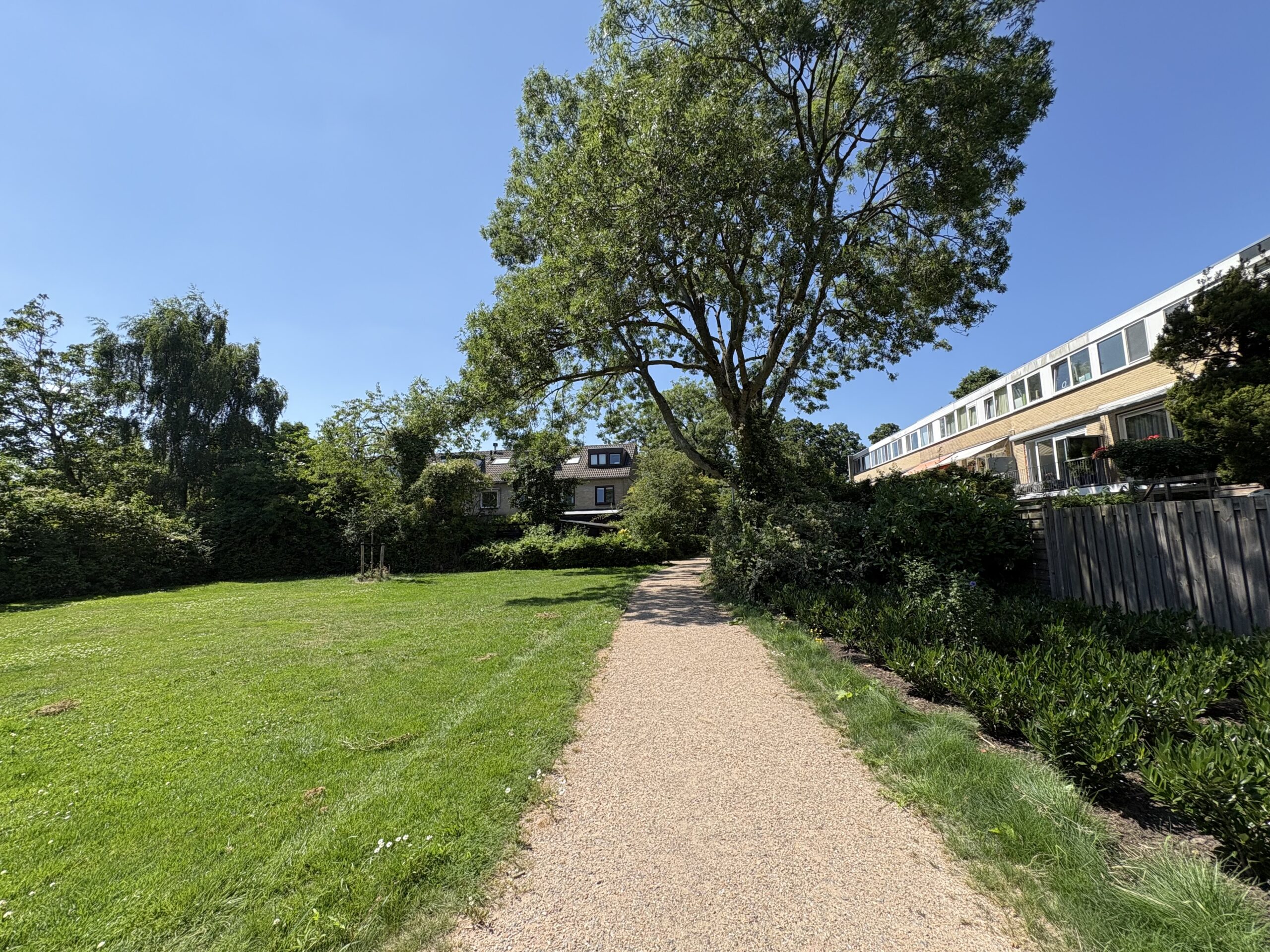 QGAflachkorn-watercirkel-amstelveen (5)