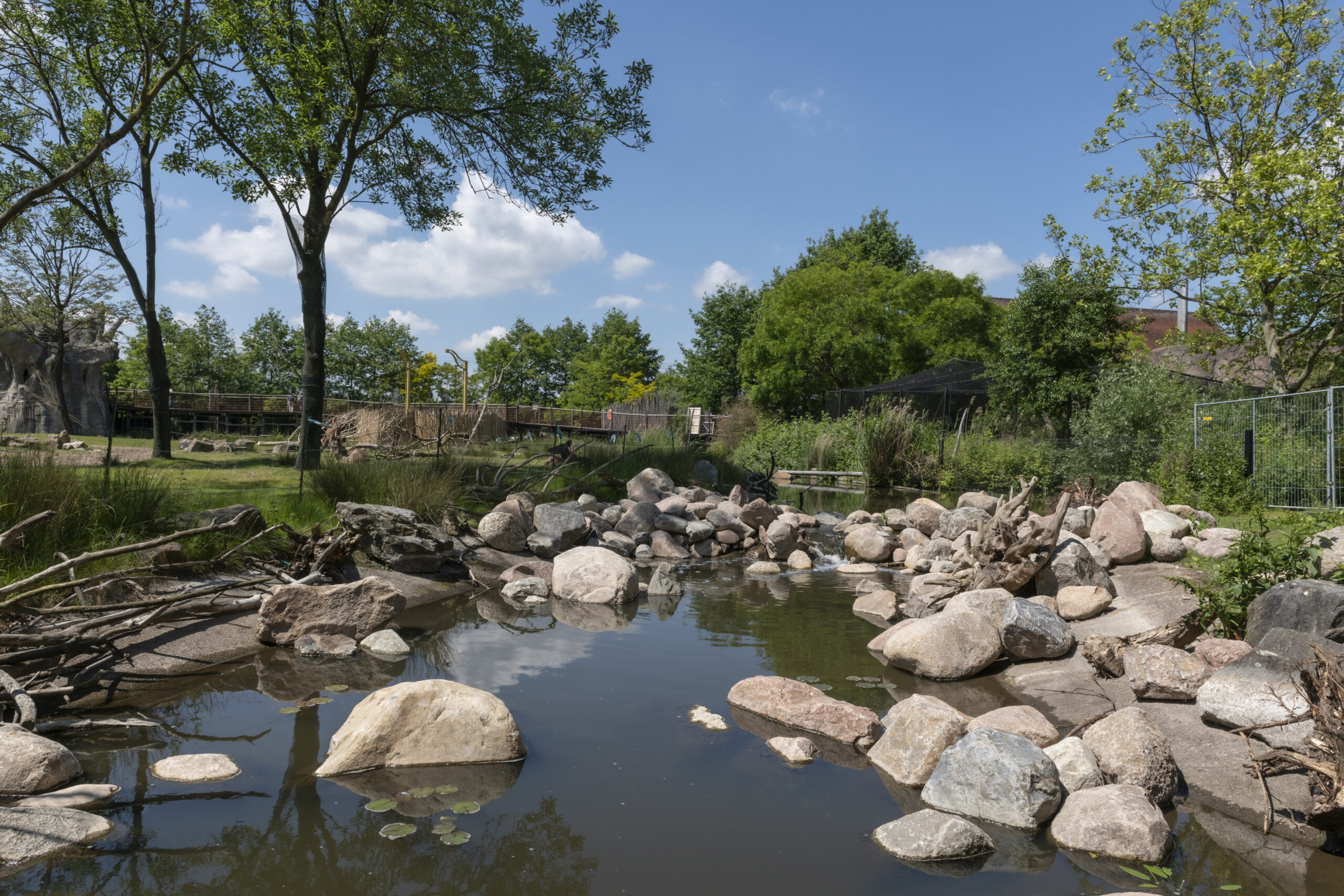 blijdorp (2)