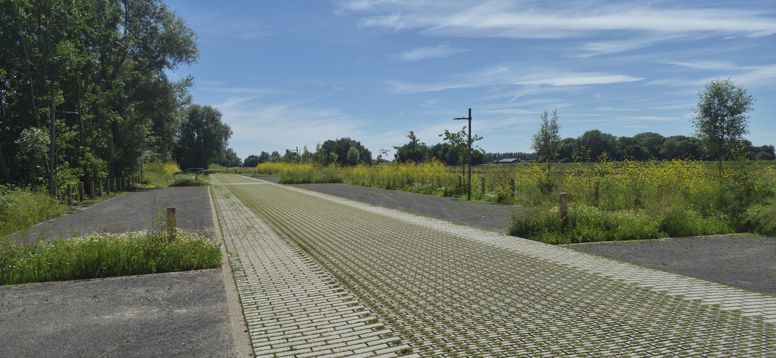 Balastan_Wegenbouw_Bergambachtna4maanden (8)